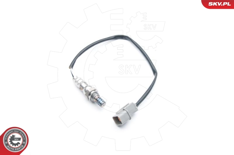 Oxygen Sensor
